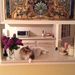 Profile Picture of Ann Sevigny (@annsevigny) on Pinterest