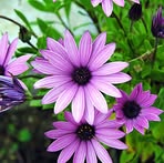 Profile Picture of Gloria Dobrowa (@gloria.dobrowa.5) on Facebook