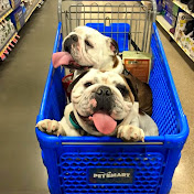 Profile Picture of MONICA SCHNEIDER (@monicaschneider9557) on Youtube