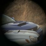 Marshall Teague - Instagram Profile Picture of Marshall Teague (@marshall_teague) on Instagram