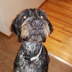 Raymond Laney - Instagram Profile Picture of Raymond Laney (@laneyraymond) on Instagram