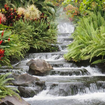 Hagigal - Twitter Profile Picture of Hagigal (@Ironwillpower) on Twitter