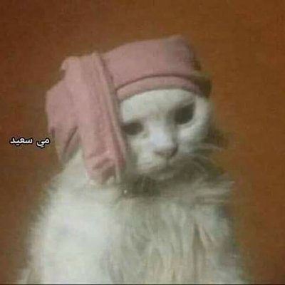 Profile Picture of Randa Ashour (@RandaAshour8) on Twitter