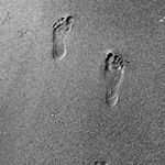 Profile Picture of Tyler Chartrand (@chartrand_photography) on Instagram