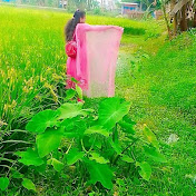 Profile Picture of Tamim Khan (@TamimKhan-b4p) on Youtube