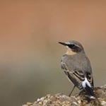 Profile Picture of Jc Bc (Juan Carlos Bellido) (@juan_carlos_bellido_campano) on Instagram