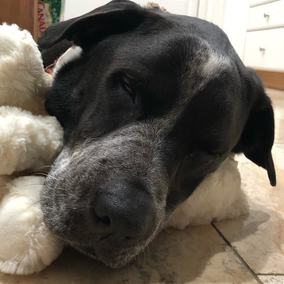 Profile Picture of Heather Offill (@hloffill) on Poshmark