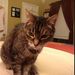 Profile Picture of Kim Coggins (@kim432) on Pinterest