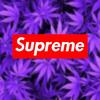 Profile Picture of alexhigh (@alexhighfuck12) on Tiktok
