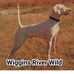 Profile Picture of Donald Wiggins (@donald.wiggins.716) on Facebook