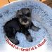 Profile Picture of Debe Brown Brzostowski (Debo) (@debbie.brzostowski) on Facebook