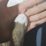 June Deng - Instagram Profile Picture of June Deng (@deng2291) on Instagram