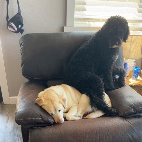 Profile Picture of Giana Chase (@gianachase) on Poshmark