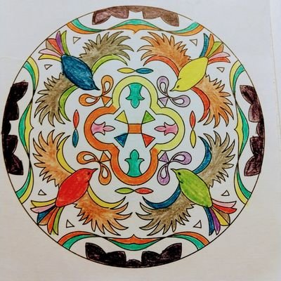 Profile Picture of Soledad Maya Torres (@solmaya52) on Twitter