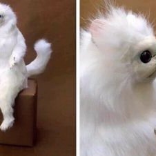 Profile Picture of Max Gibson (@Jawnikowski) on Twitter