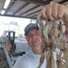 Profile Picture of tracey trahan (@shrimpkingdomseafood) on Pinterest