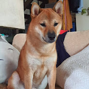 Profile Picture of David Yau (@davidyau2859) on Youtube