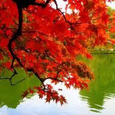 Profile Picture of David Fitz (@davidfitz1992) on Twitter