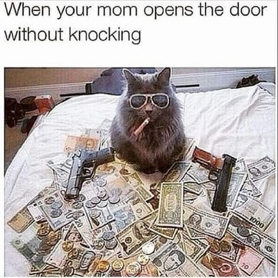 Profile Picture of Chad Wilkerson (@user7_3) on Twitter