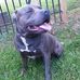 Profile Picture of Sherwin Borders (@sherwin.borders.5) on Facebook