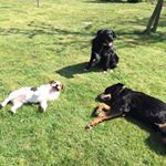 Profile Picture of Rita Schulte-Winter (@ri_ta_2705) on Instagram