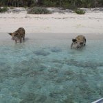 Profile Picture of Kendall Steele (@kds1961) on Instagram