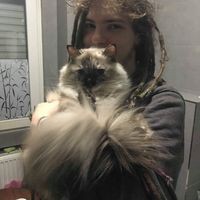 Profile Picture of Eric Joachim (@eric-joachim-3) on Quora