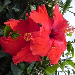 Profile Picture of Erin Libby (@ErinSLibby) on Twitter