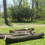 Profile Picture of Steve Billock (@billocksteve) on Instagram