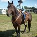 Profile Picture of Sandy Steeves (@sandy.steeves.35) on Facebook