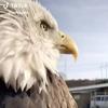 Profile Picture of Hugh Kesler (@hughkesler) on Tiktok