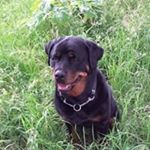 Profile Picture of Corrie Philipse (@corriephilipse) on Instagram