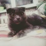 Profile Picture of Дарья Сержантова (@dashulya_michaelis) on Instagram