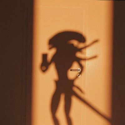 Profile Picture of Danielle Browning (@_steely_dan) on Twitter
