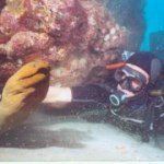 Profile Picture of David Desrochers II (@aquaman561) on Instagram