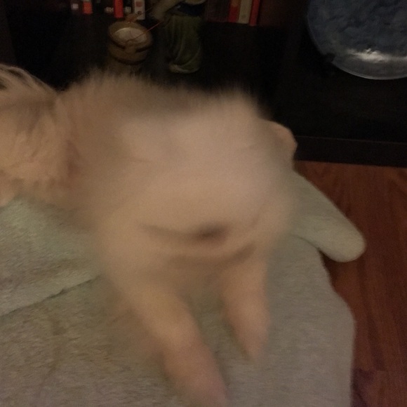 Profile Picture of Debbie Yu (@debbieyu) on Poshmark