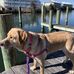 Profile Picture of Jason Kunkle (@jason.kunkle.75) on Facebook