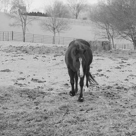 Profile Picture of Brynn Marie (@BrynnLooney) on Pinterest