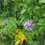 Profile Picture of John Borders (@john.j.borders) on Instagram