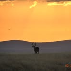 Profile Picture of Stanley Heck (@stanley.heck.2025) on Facebook