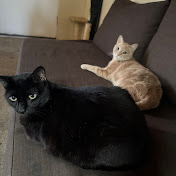 Profile Picture of Lizbeth Wright (@lizzyliz1986) on Youtube