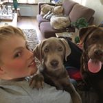 Profile Picture of Jesse De Bock (@jesse_debock) on Instagram