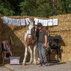 Profile Picture of Bradley Görtzen (@bradley.gortzen) on Facebook