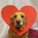 Profile Picture of Mackenzie Fields (@mackenzief6) on Pinterest