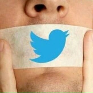 Profile Picture of Amrita Chatterjee (@AmritaC11481128) on Twitter