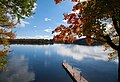 Profile Picture of Muskoka Lakeson Wikipedia