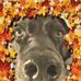 Profile Picture of Anne Fredrickson (@anne.fredrickson.12) on Facebook