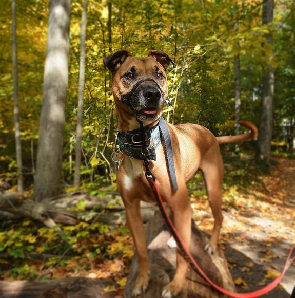 Profile Picture of Ayanna Cavera (@brightspirit639) on Poshmark