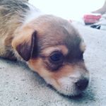 Profile Picture of Amir Morales (@amir.morales.7921) on Instagram