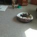 Profile Picture of George Baumgartner (@george.baumgartner.5220) on Facebook